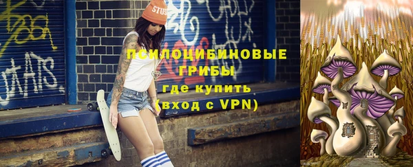 экстази Богородск
