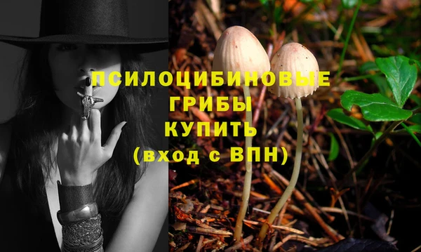 прущие крисы Богородицк